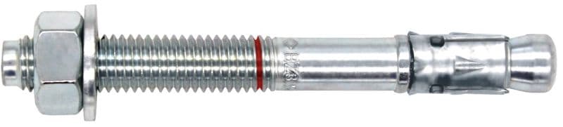 Анкерный болт Hailo М10х90 2 шт (нержавеющая сталь 1.4571/ASTM 316ti)